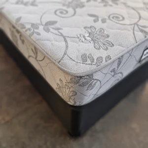 Cozy Nights Monarch Single Base Set