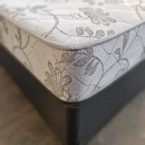 Cozy Nights Monarch Single Base Set
